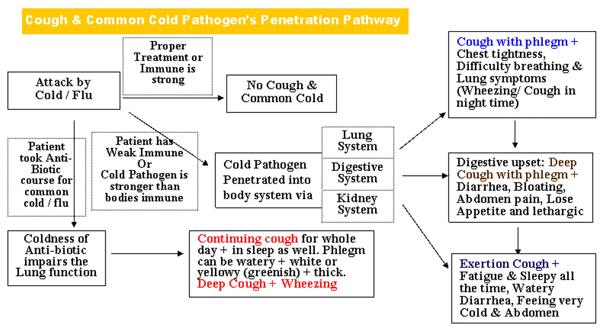cough_pathway_new