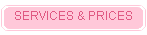 OUR SERVICES